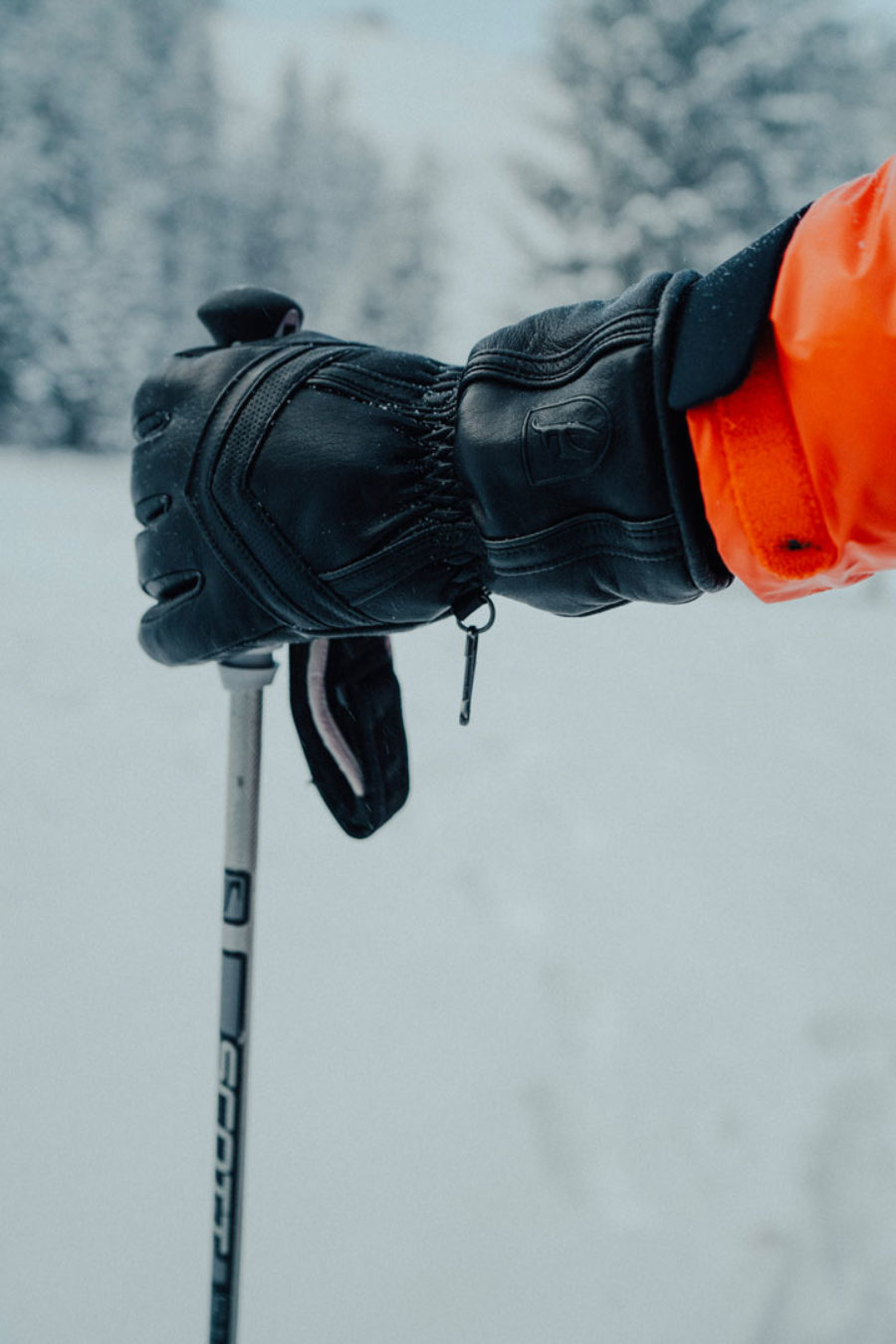 Gants de ski en cuir photo