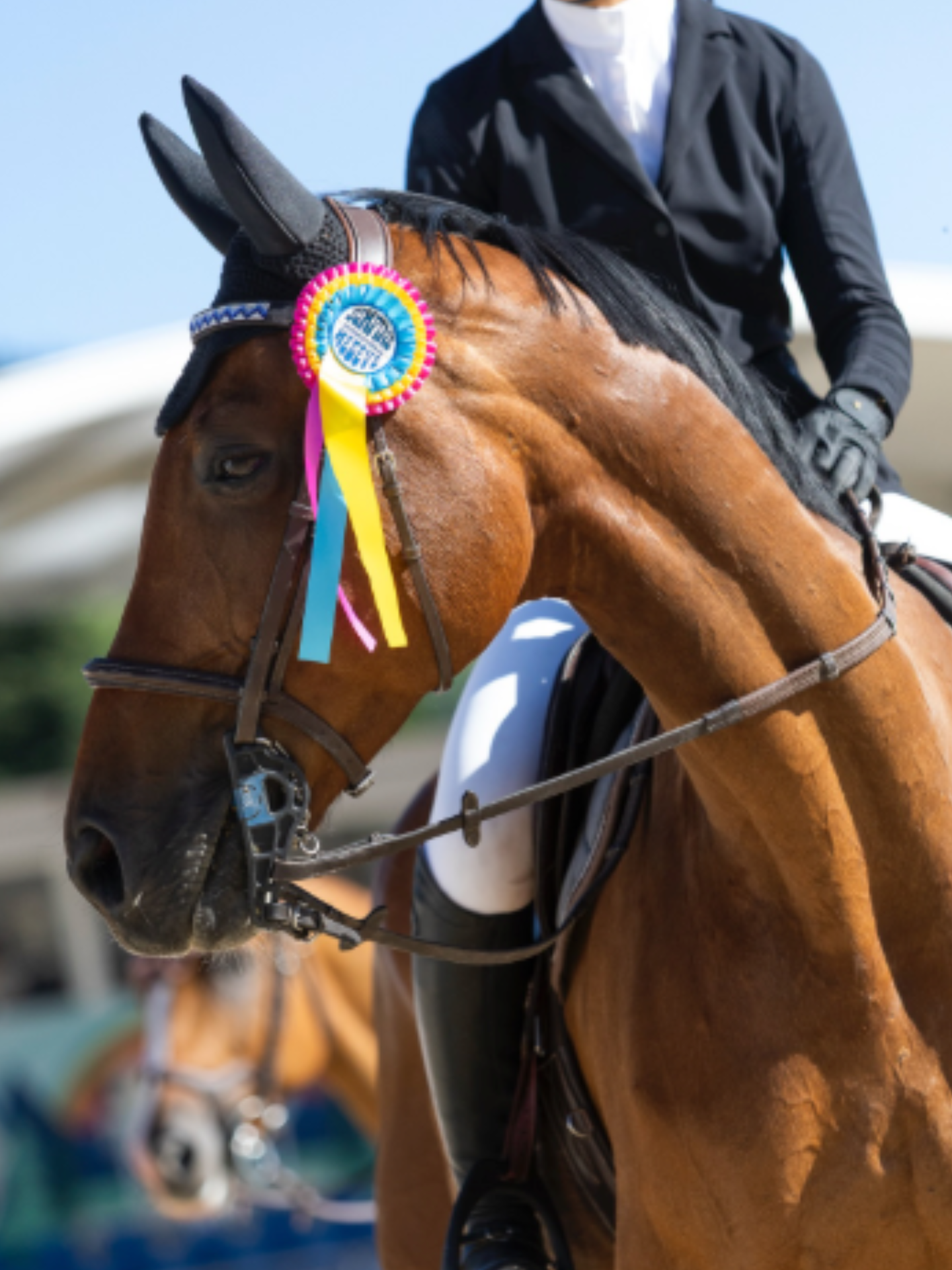 Le Jumping International de Megève fête sa 15ème édition